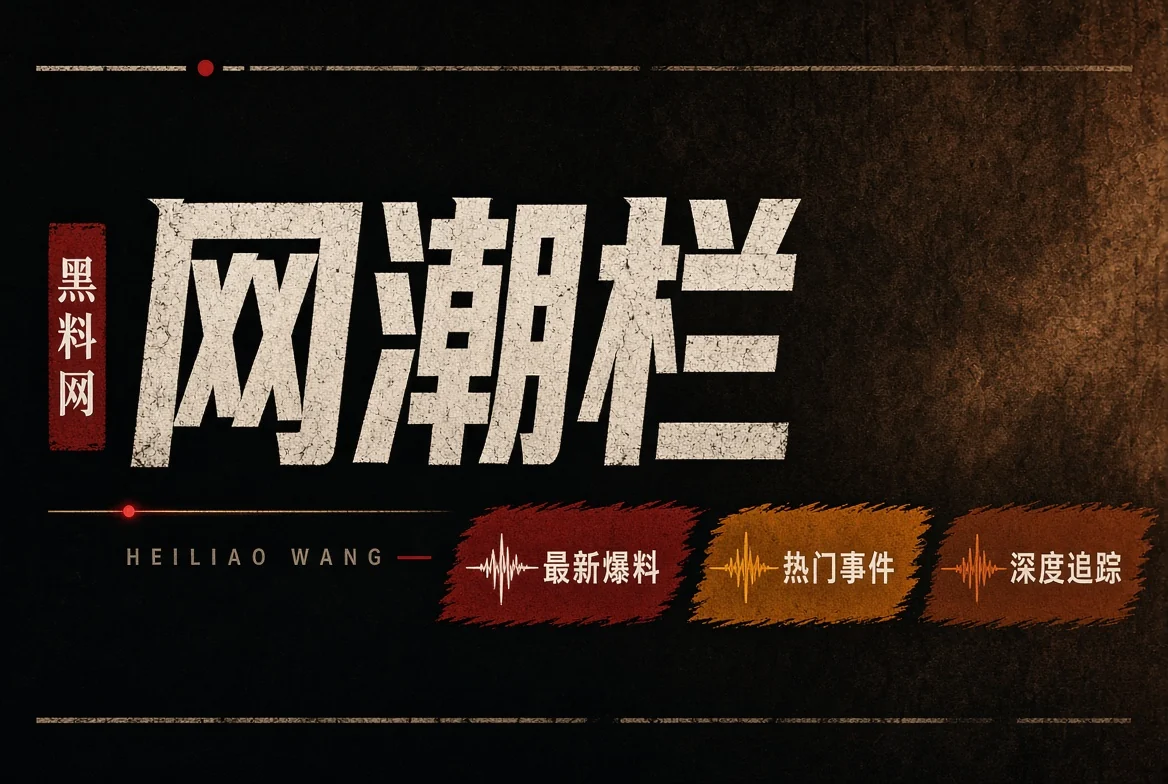 网浪栏公开内容视觉